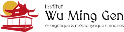 Création du site internet de l’Institut Wu Ming Gen