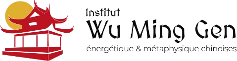 Création du site internet de l’Institut Wu Ming Gen